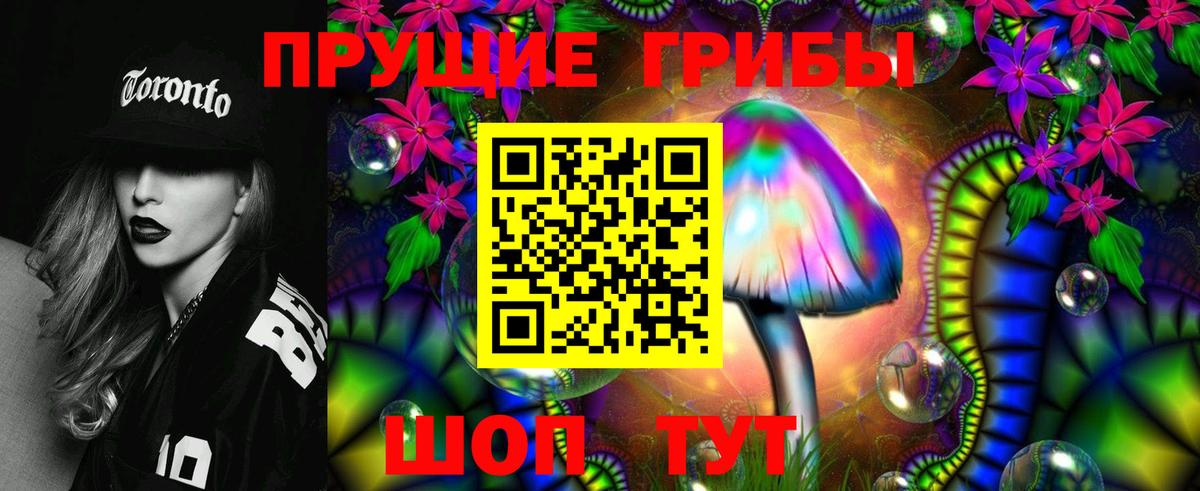 Галлюциногенные грибы Psilocybe Великие Луки